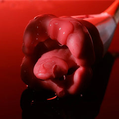 Rose Lip Nibble Suction Clitoral Stimulator Vibrator